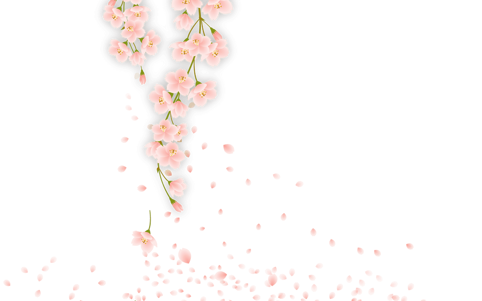 花魁体験スタジオやまと桜の桜模様１